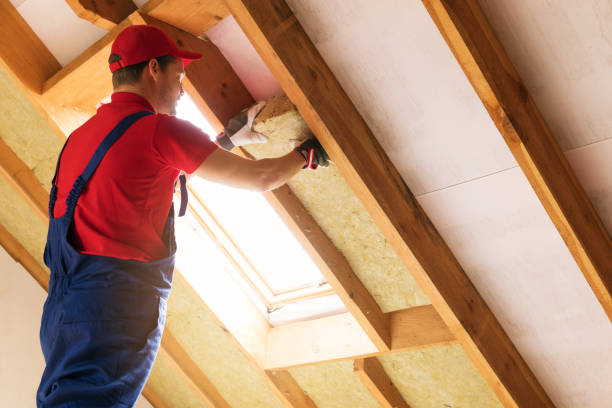 Best Batt and Roll Insulation  in Genoa, IL